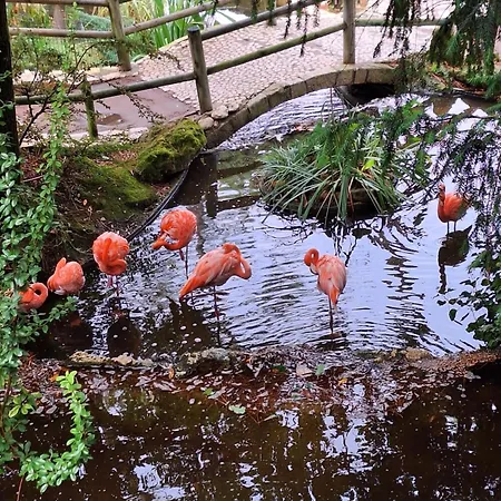 Mobilhome 2 Climatisé 3 étoiles Saint-Georges-de-Didonne